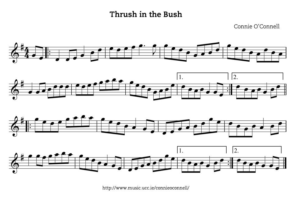Thrush in the Bush